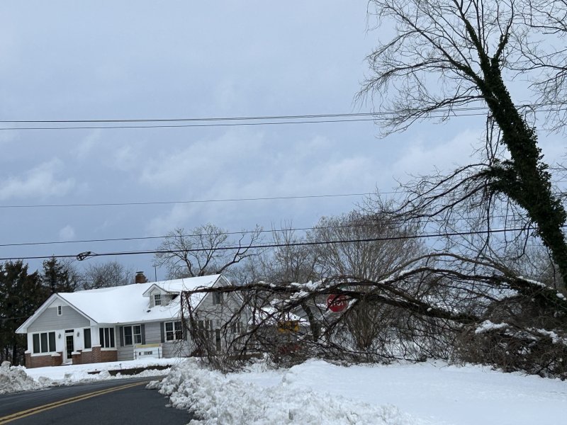 A lifeless tree blocked a lane in Milton at the intersection of Sandhill and Harbeson roads. KEVIN SPENCE PHOTO